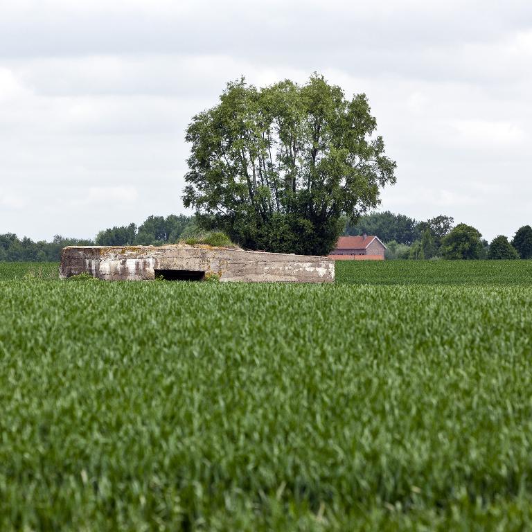 Casemate à canon 57