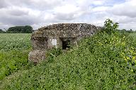 Casemate 342