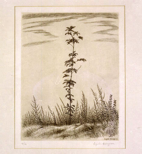 Estampe : Jeune arbre