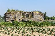 Casemate à mortier (?) 121