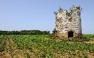 Ancien moulin à blé de Mouflers (vestiges)