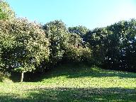 Motte castrale de Bourseville