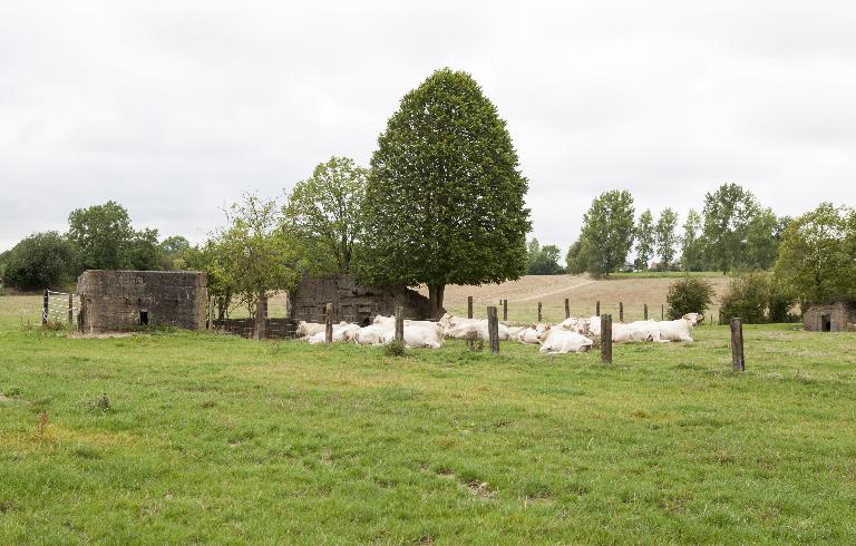 Casemate à canon 80